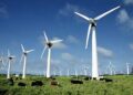 Шоқпар ауылдық округінде тәулігіне 110 мегаватт жел электр қуатын өндіретін станса салынуда