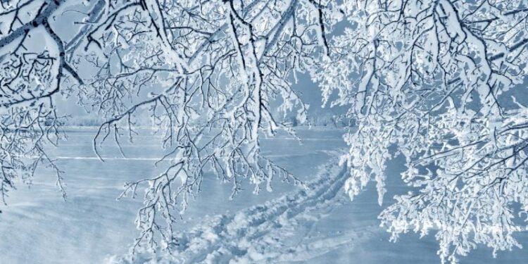 Алдағы үш күнде кейбір өңірлерде 30 градус аяз болуы мүмкін