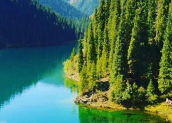 Қазақстан экологиялық тиімділік рейтингінде Намбия, Габон және Зимбабведен артта қалды