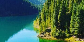 Қазақстан экологиялық тиімділік рейтингінде Намбия, Габон және Зимбабведен артта қалды