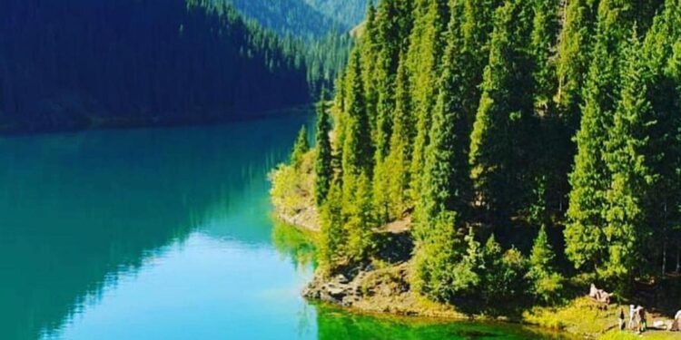 Қазақстан экологиялық тиімділік рейтингінде Намбия, Габон және Зимбабведен артта қалды