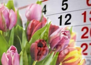 Наурыз мерекесінде қанша күн демаламыз?