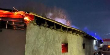 Жамбылда өрт салдарынан 48 бас мал қырылды