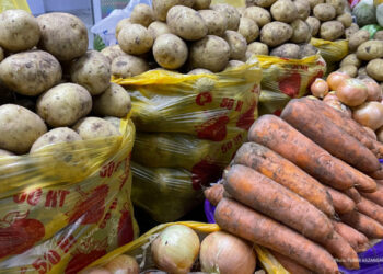 Ресейден бірнеше мәрте алаяқтық жасаған күдікті экстрадицияланды