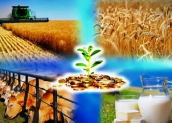 Мемлекеттік бағдарламалар орындалмады, алайда ешкім жауапқа тартылған жоқ