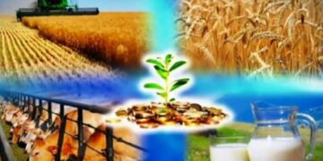 Мемлекеттік бағдарламалар орындалмады, алайда ешкім жауапқа тартылған жоқ