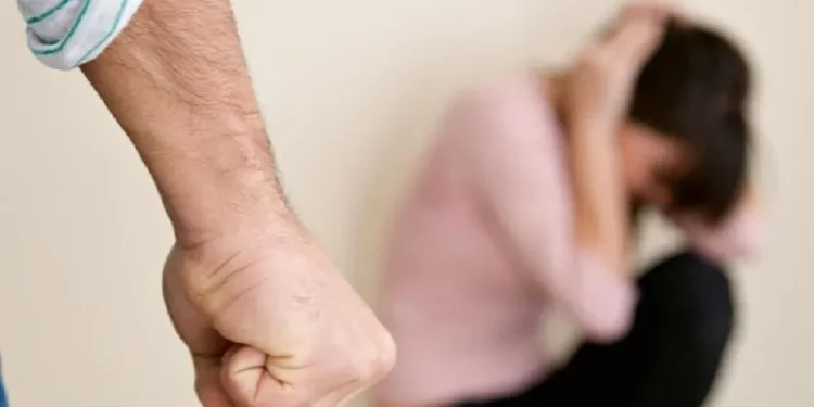 Әйелдерді зорлық-зомбылықтан қорғау бойынша арнайы бөлімшелер құрылған