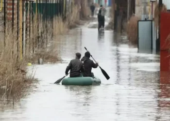 Су тасқынынан зардап шеккен қазақстандықтарға салықтар мен төлемдерді төлеу кейінге қалдырылады