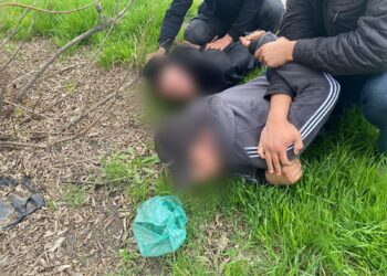 Шу ауданының тұрғынынан 5 миллион теңгелік гашиш тәркіленді