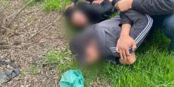 Шу ауданының тұрғынынан 5 миллион теңгелік гашиш тәркіленді