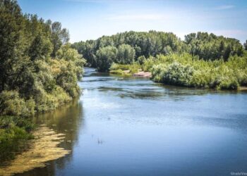 Жайықтың жағдайы қиын