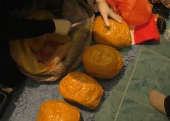 Таразда 42 кг-ға жуық есірткінің таралуына жол берілмеді