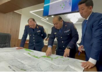 Жамбыл облысында жабайы қарасора алқабы 2 есеге қысқарды