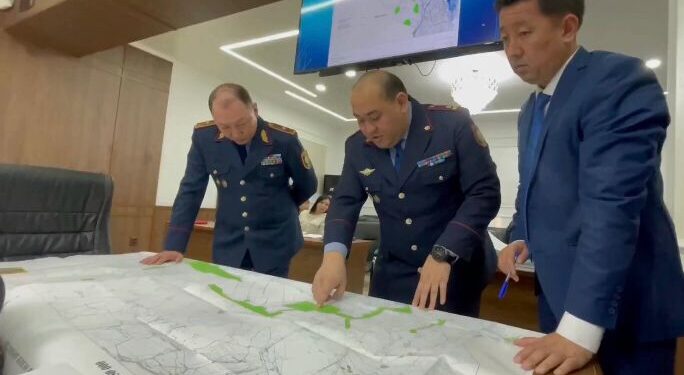 Жамбыл облысында жабайы қарасора алқабы 2 есеге қысқарды