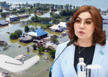 Сақтандыру компанияларына сенім төмен, сақтандыру мәдениеті қалыптаспаған