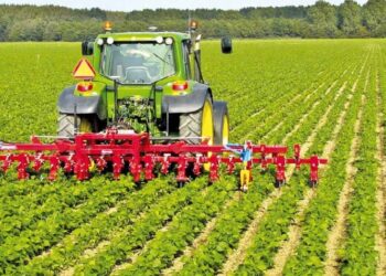 Ауыл шаруашылығына арналған субсидиялар тиімсіз