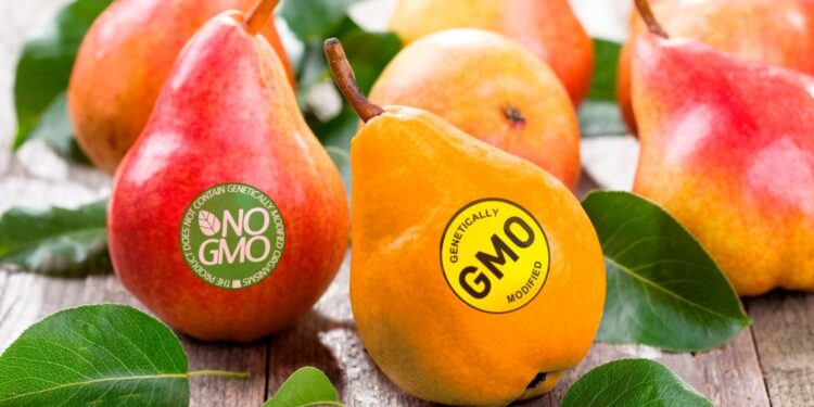 ГМО өнімдерінің денсаулыққа пайдалы не зиян екендігі әлі күнге дәлелденбеген