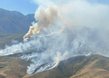 Жамбыл облысында орын алған өрт сөндірілді