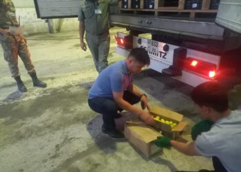 Есірткі контрабандасына тосқауыл: Жамбыл облысының шекараларында есірткі транзитіне қарсы күрес күшейді