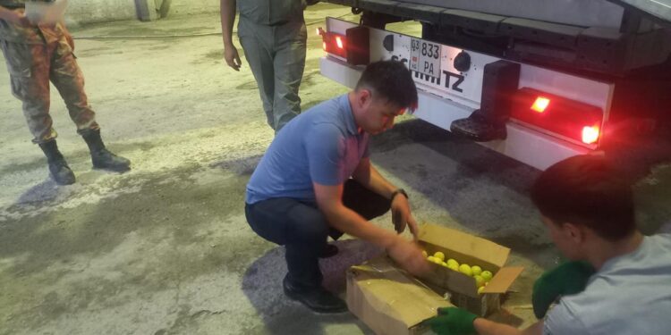 Есірткі контрабандасына тосқауыл: Жамбыл облысының шекараларында есірткі транзитіне қарсы күрес күшейді