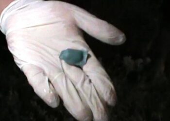 Таразда полицейлер жасырын орындарға синтетикалық есірткі қойып кетумен айналысқан азаматты ұстады