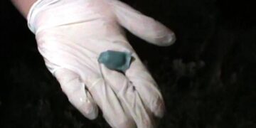 Таразда полицейлер жасырын орындарға синтетикалық есірткі қойып кетумен айналысқан азаматты ұстады