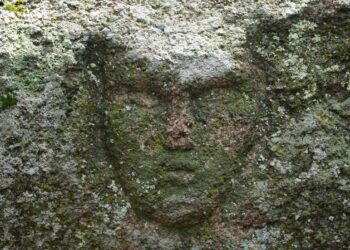 Ақмола облысы ТЖД қызметкерлері артефакті тапты