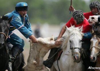 Көкпар мен қымыз ЮНЕСКО-ның тізімінде көршілеріміздің еншісіне жазылып кетті