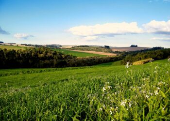 Жамбылда 43 мың гектардан аса жер мемлекетке қайтарылды