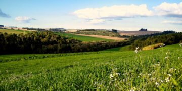 Жамбылда 43 мың гектардан аса жер мемлекетке қайтарылды