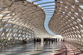 Бұл істі досымен бәстесіп жасағанын мойындады