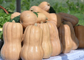 929 миллиард теңге субсидия бөлінсе де, салада серпіліс жоқ