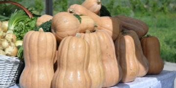 929 миллиард теңге субсидия бөлінсе де, салада серпіліс жоқ