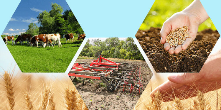 Шаруалардың неге несие алуға құлқы жоқ?