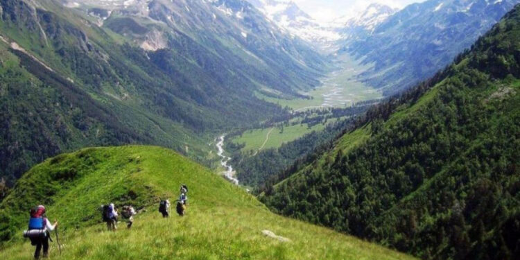 13 миллиард теңге әкелмек болған инвестор бас тартты