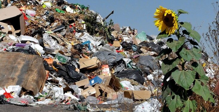 Қалдықтардың шамамен 18-20% ғана қайта өңделеді