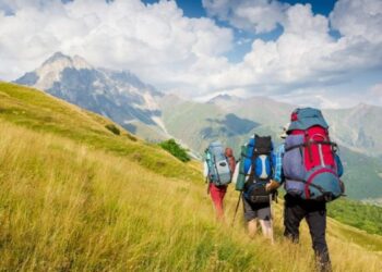 Кейбір мердігерлер мемлекеттік сатып алу конкурсында негізсіз жеңіске жетті