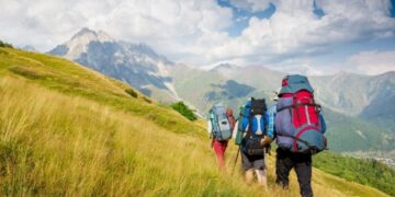 Кейбір мердігерлер мемлекеттік сатып алу конкурсында негізсіз жеңіске жетті