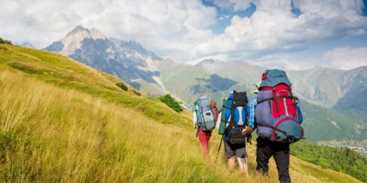 Кейбір мердігерлер мемлекеттік сатып алу конкурсында негізсіз жеңіске жетті