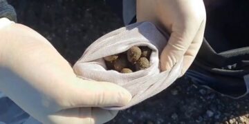 Жамбылдық тұрғынның сөмкелерінен 12 келіден астам гашиш табылды