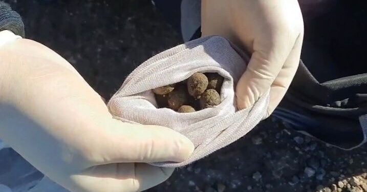 Жамбылдық тұрғынның сөмкелерінен 12 келіден астам гашиш табылды