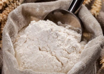 Көрші елдер біздің бидайды өңдеп, экспортқа шығарып отыр