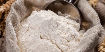 Көрші елдер біздің бидайды өңдеп, экспортқа шығарып отыр