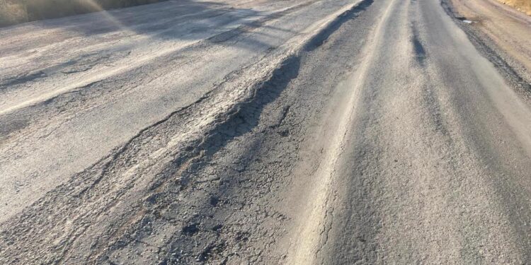 Жамбылда 332 лауазымды тұлға жауапкершілікке тартылды