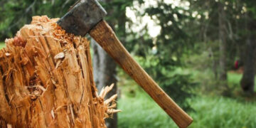 Орман алқаптарында ағашқа сұраныс азайған