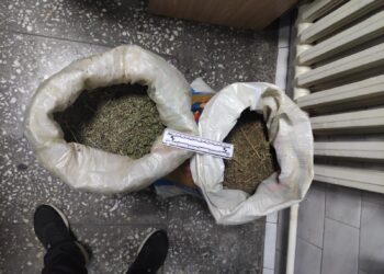 Байзақ ауданының тұрғынынан есірткінің үлкен партиясы тәркіленді