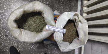 Байзақ ауданының тұрғынынан есірткінің үлкен партиясы тәркіленді