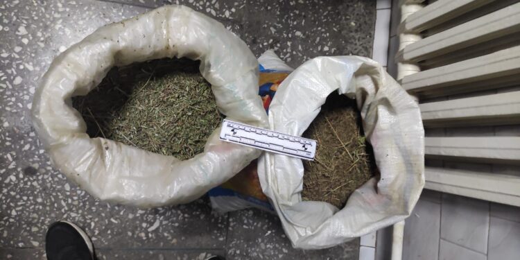 Байзақ ауданының тұрғынынан есірткінің үлкен партиясы тәркіленді