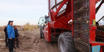 Ербол Қарашөкеев қызылша жинау жұмыстарымен танысты