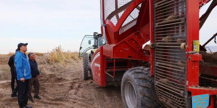 Ербол Қарашөкеев қызылша жинау жұмыстарымен танысты